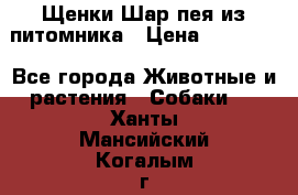 Щенки Шар пея из питомника › Цена ­ 25 000 - Все города Животные и растения » Собаки   . Ханты-Мансийский,Когалым г.